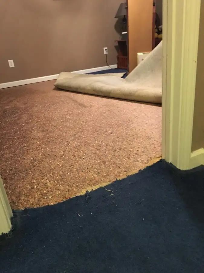Carpet pad removal revealing water damage during Water Mitigation Services in Union